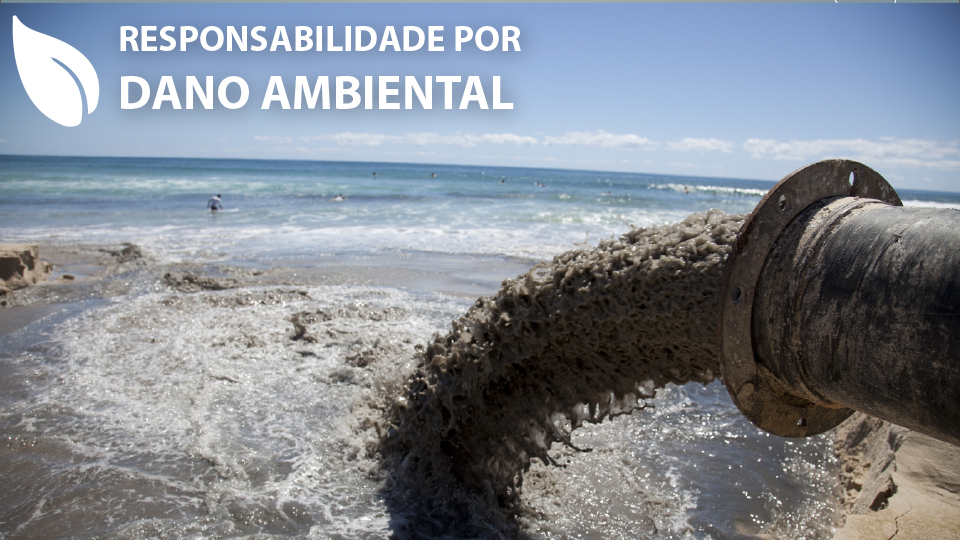 Curso Online De Responsabilidade Por Dano Ambiental Ead Ambipar Vg